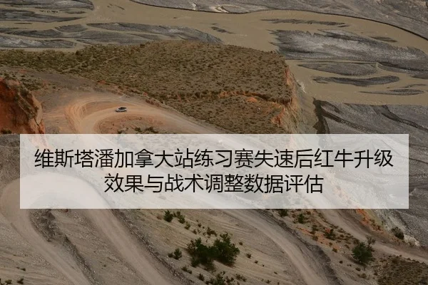 维斯塔潘加拿大站练习赛失速后红牛升级效果与战术调整数据评估